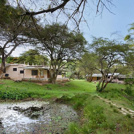 Jungle Hut Hotel Masinagudi Exterior foto