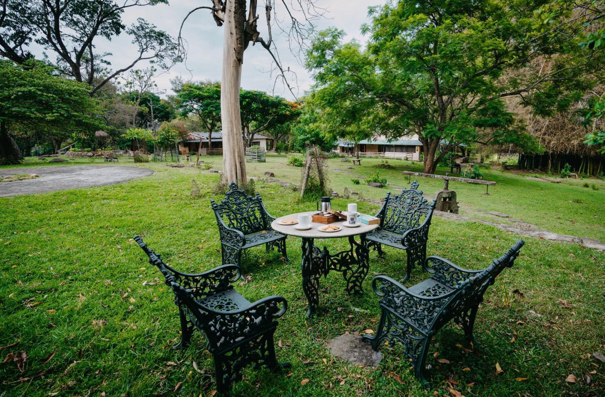 Jungle Hut Hotel Masinagudi Exterior foto