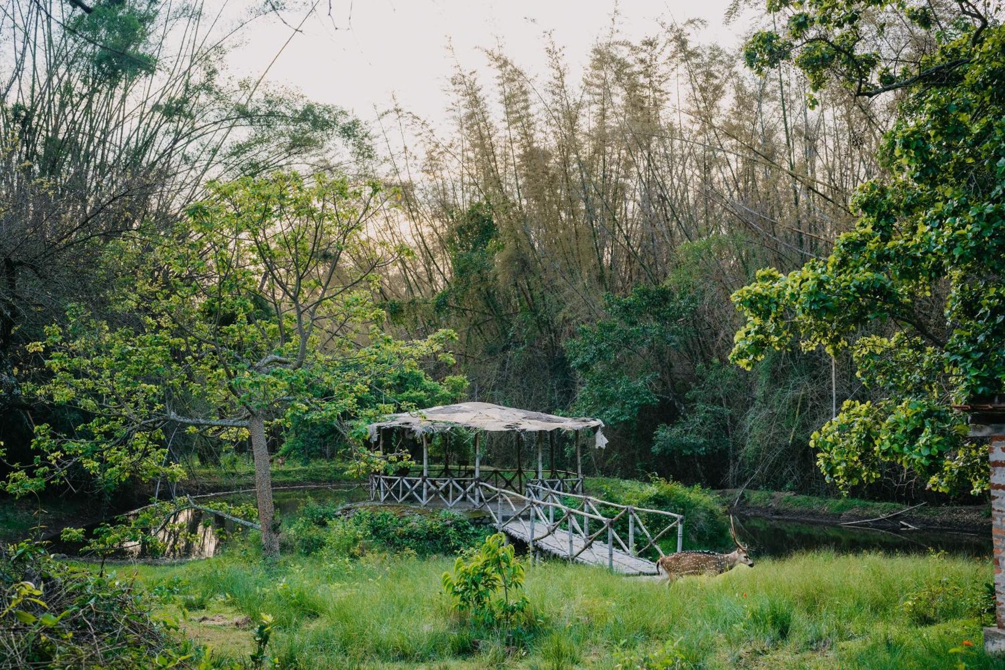Jungle Hut Hotel Masinagudi Exterior foto